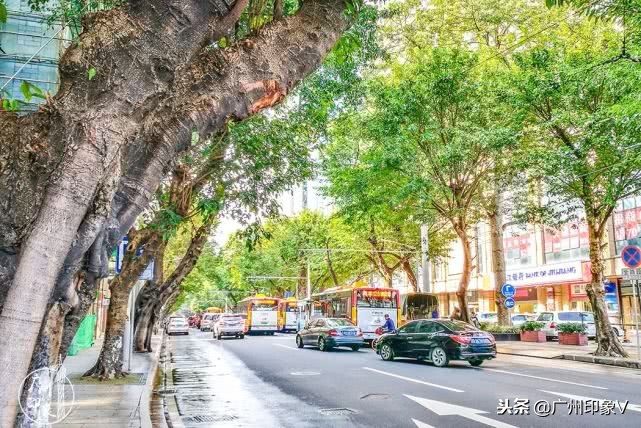 遇到老实人就嫁了吧,遇到贵州人你就嫁了吧