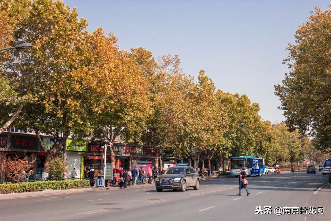 南京市板仓街,南京市玄武区板仓街地理位置