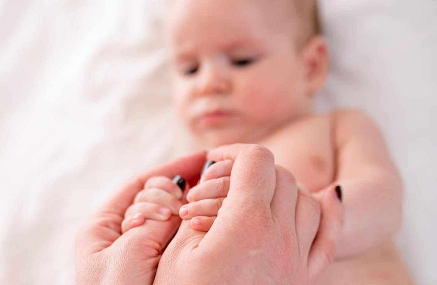 刚出生的猪宝宝需要注意什么,刚拥有猪宝宝注意什么