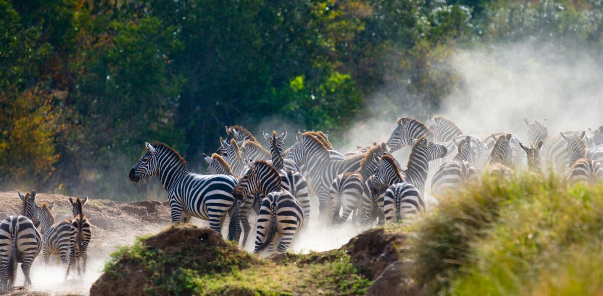 世界十大亲华国家排行,世界上宝藏最多的国家