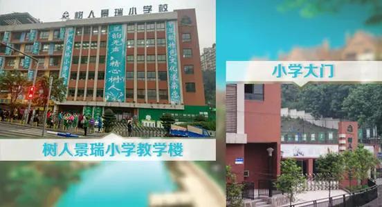 重庆树人小学分校有哪些,重庆树人小学毕业上哪些中学
