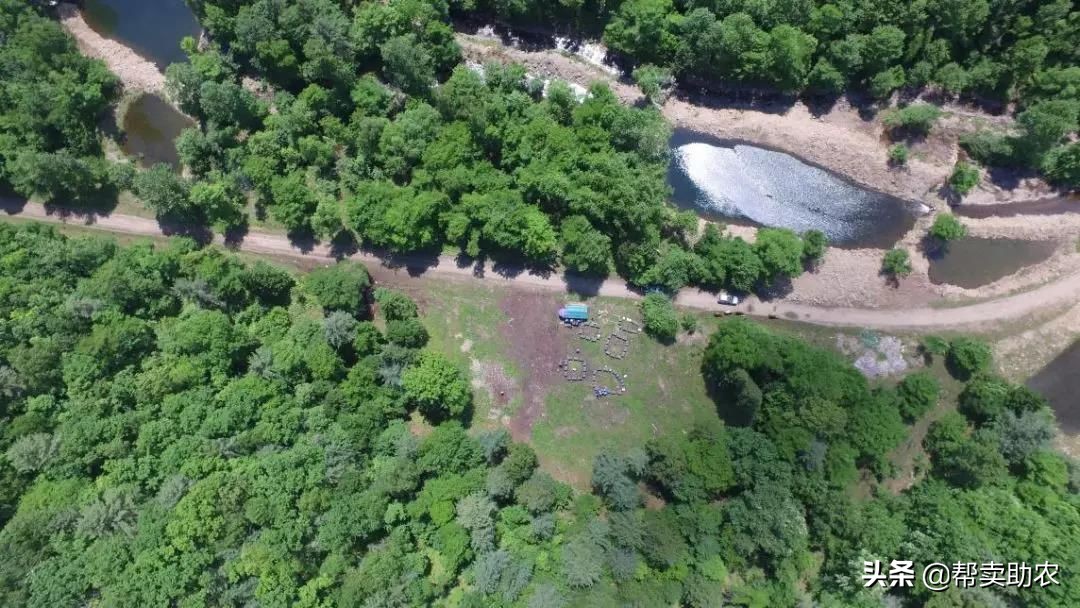 乾隆皇帝宠爱女人,乾隆皇帝独宠如意