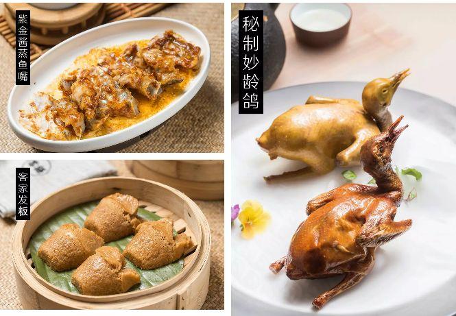 经典粤菜馆品味正宗广东美食,深圳好吃的正宗粤菜