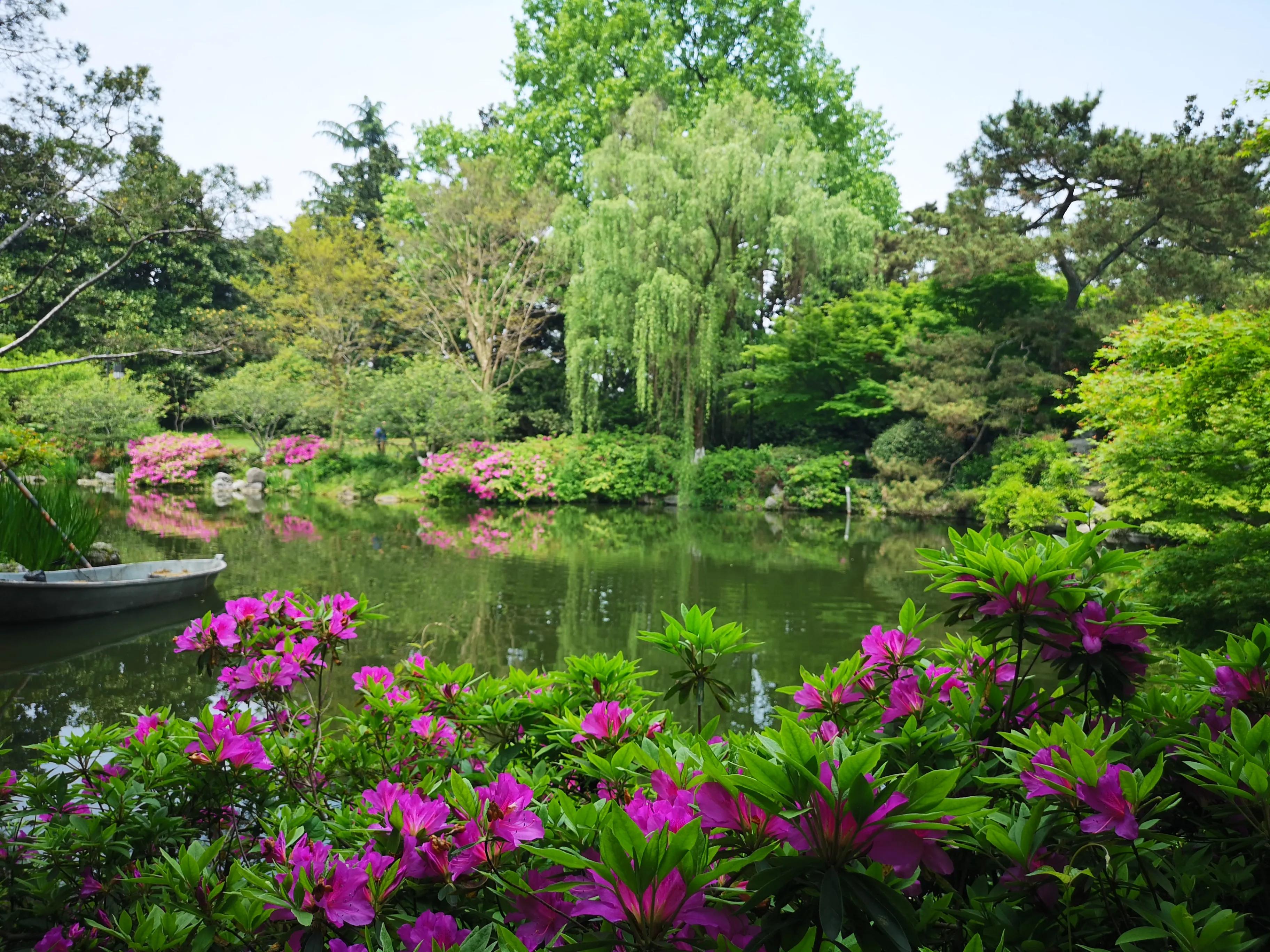 杭州西湖美景抖音最火版完整版,杭州西湖美景全景