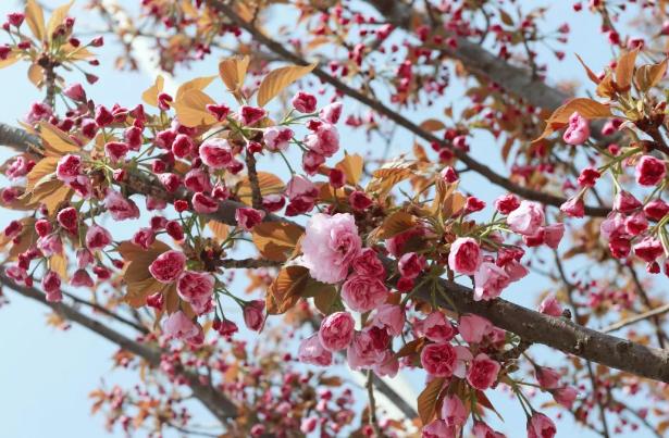 这届丰县人，的确没什么好“骄傲”的