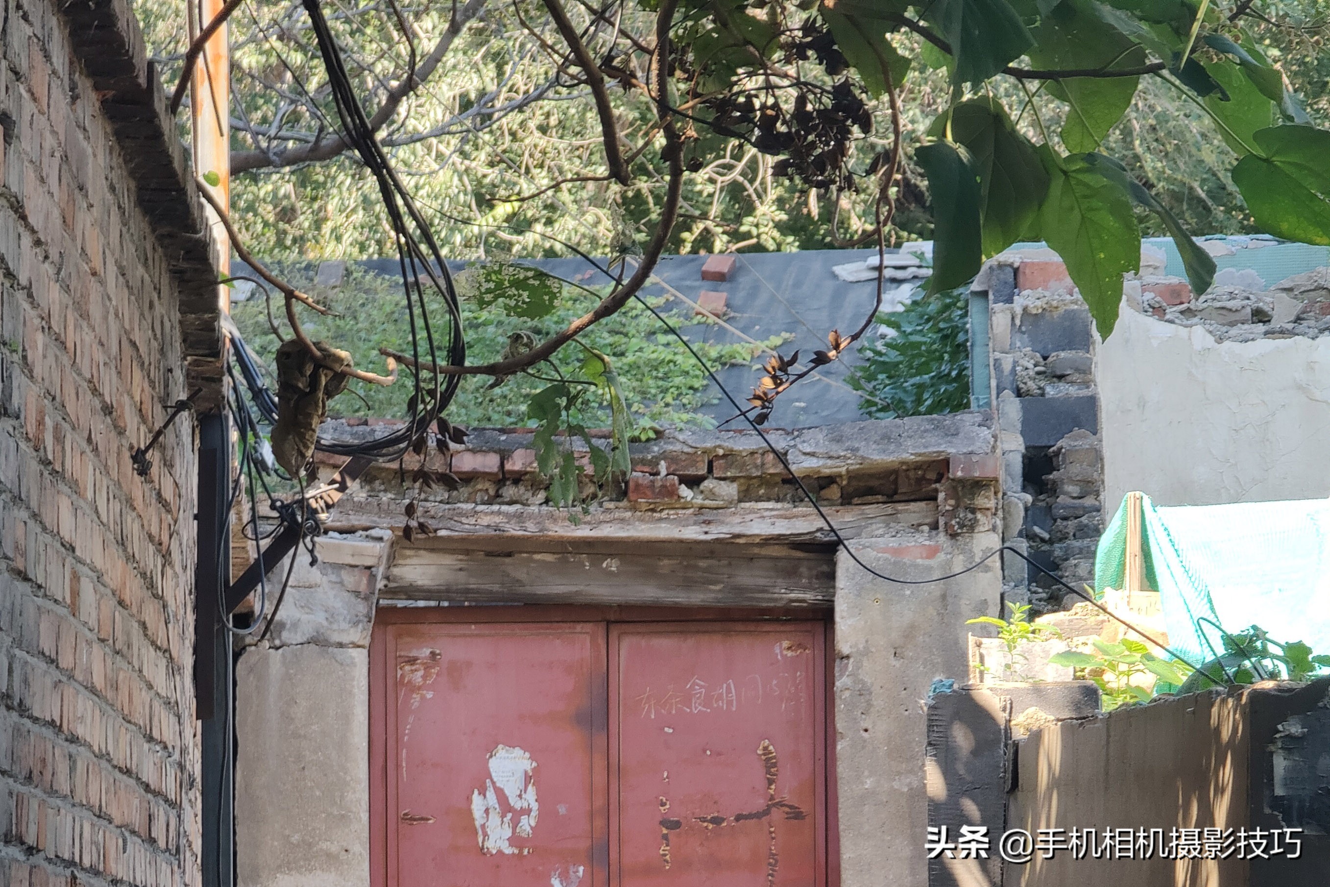 vivoX70Pro+是摄影新机皇？用完它那拉胯的长焦，我沉默了