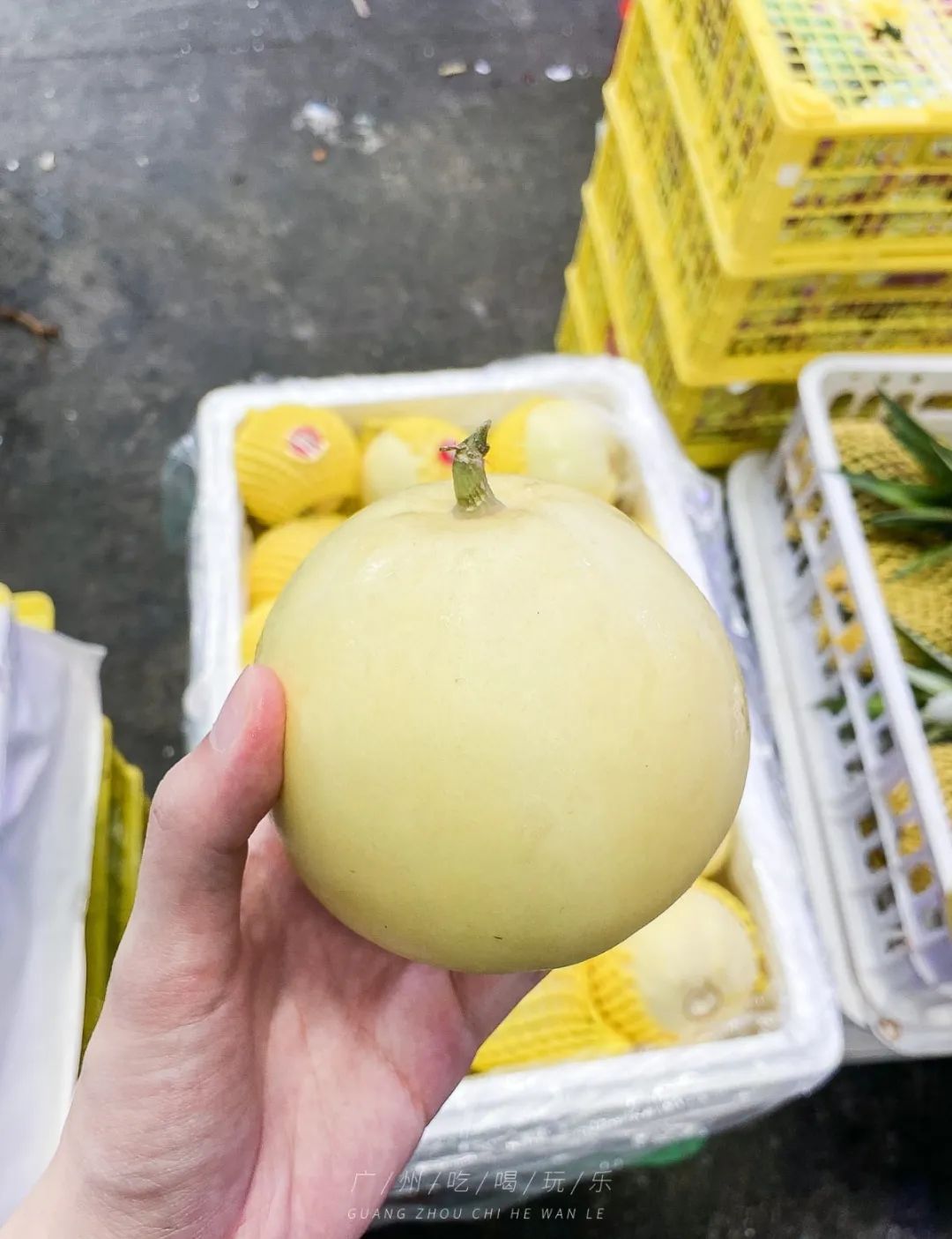 地铁坐到水果市场附近,广州天平架水果市场