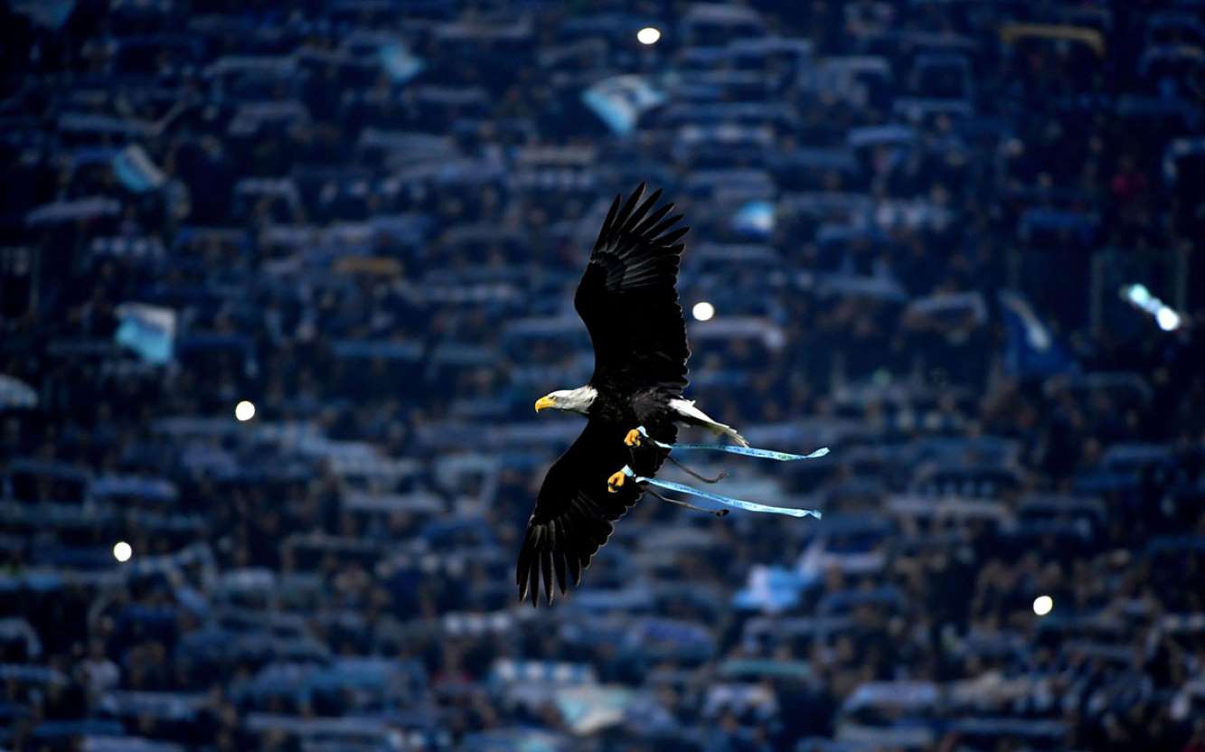 最近一周风景手机摄影,世界之最的摄影艺术照片