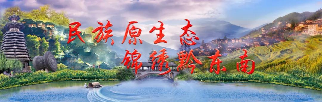 近年来黔东南旅游市场概况,黔东南清明旅游人数