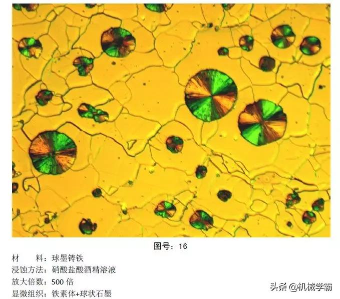 马氏体、奥氏体、珠光体，20种材料彩色金相，带你轻松识别