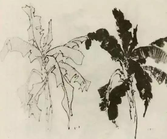 怎么画树最简单而且还最好看,怎么画树才更真实