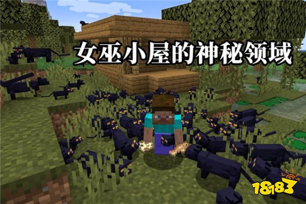 我的世界女巫小屋的秘密,我的世界最诡异的一幕