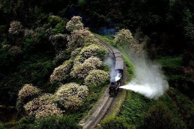 旅游蒸汽轨道观光小火车,中国最美的旅游观光小火车
