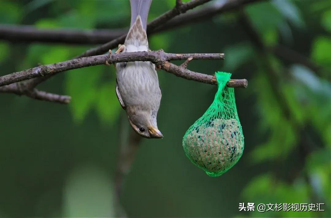 简短励志职场小故事及感悟,销售工作分享正能量小故事及感悟