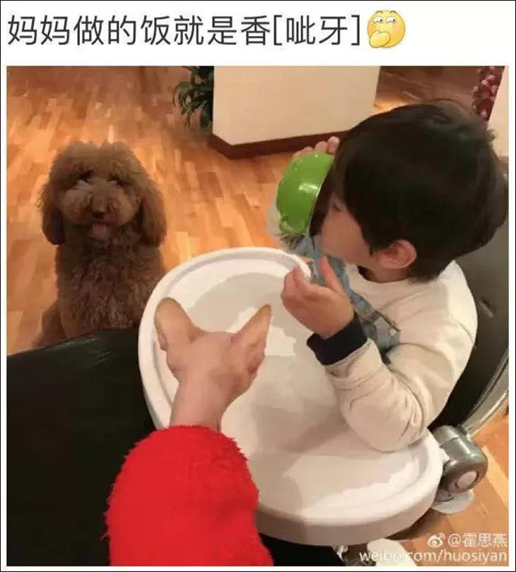 无毛猫为什么那么恶心,无毛猫很难让人接受