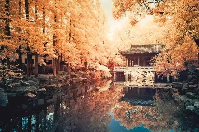 人不为己天诛地灭原来是这个意思,人不为己天诛地灭原意是什么