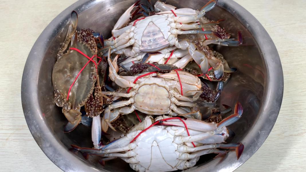 螃蟹怎么保存才新鲜能保存3到4天,夏天螃蟹怎么保存一下午