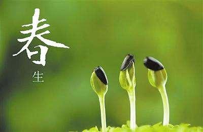 90后的日记吉他谱,90后的日漫女生