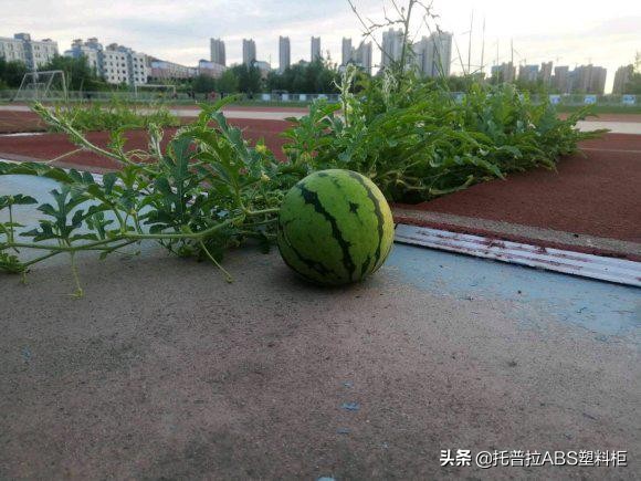 托普拉校园储物柜,托普拉防水储物柜