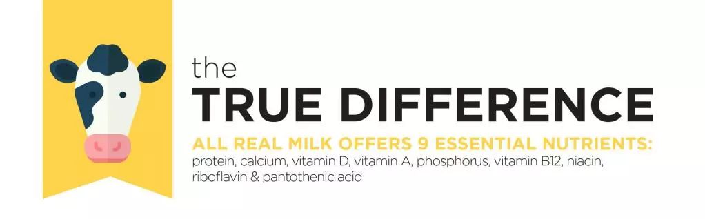 澳洲奶粉骗局揭秘,澳洲奶粉的十大谣言