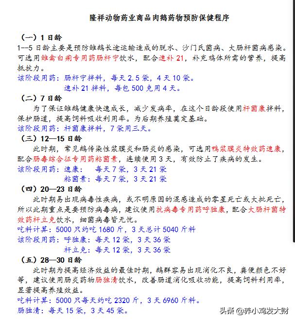 散养鹅10000只利润和成本,养鹅100只蛋鹅能赚多少利润