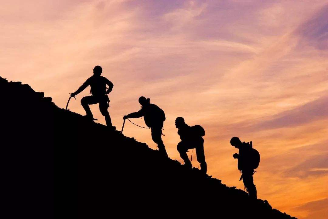 如何理解生命的真相和生命的意义,生命的真谛是什么生命的意义何在