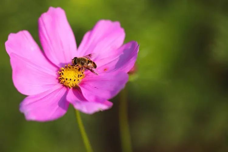 电商拍摄照片100个小技巧,5个超实用的拍摄技巧