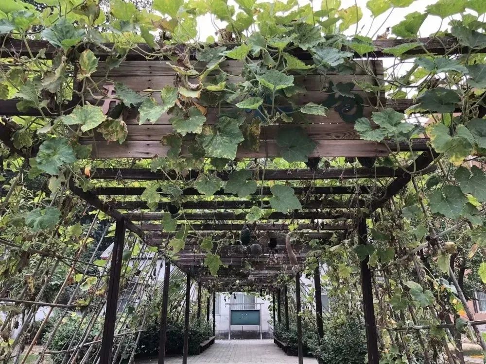 北京所有小学排名一览表,北京30所小学排名一览表