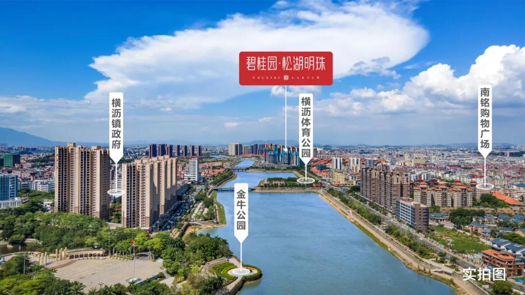 东莞打造高新工业产业园,东莞横沥镇新城区地块