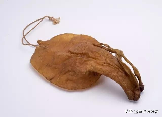 怎么买鱼胶不踩坑,怎么购买鱼胶最好