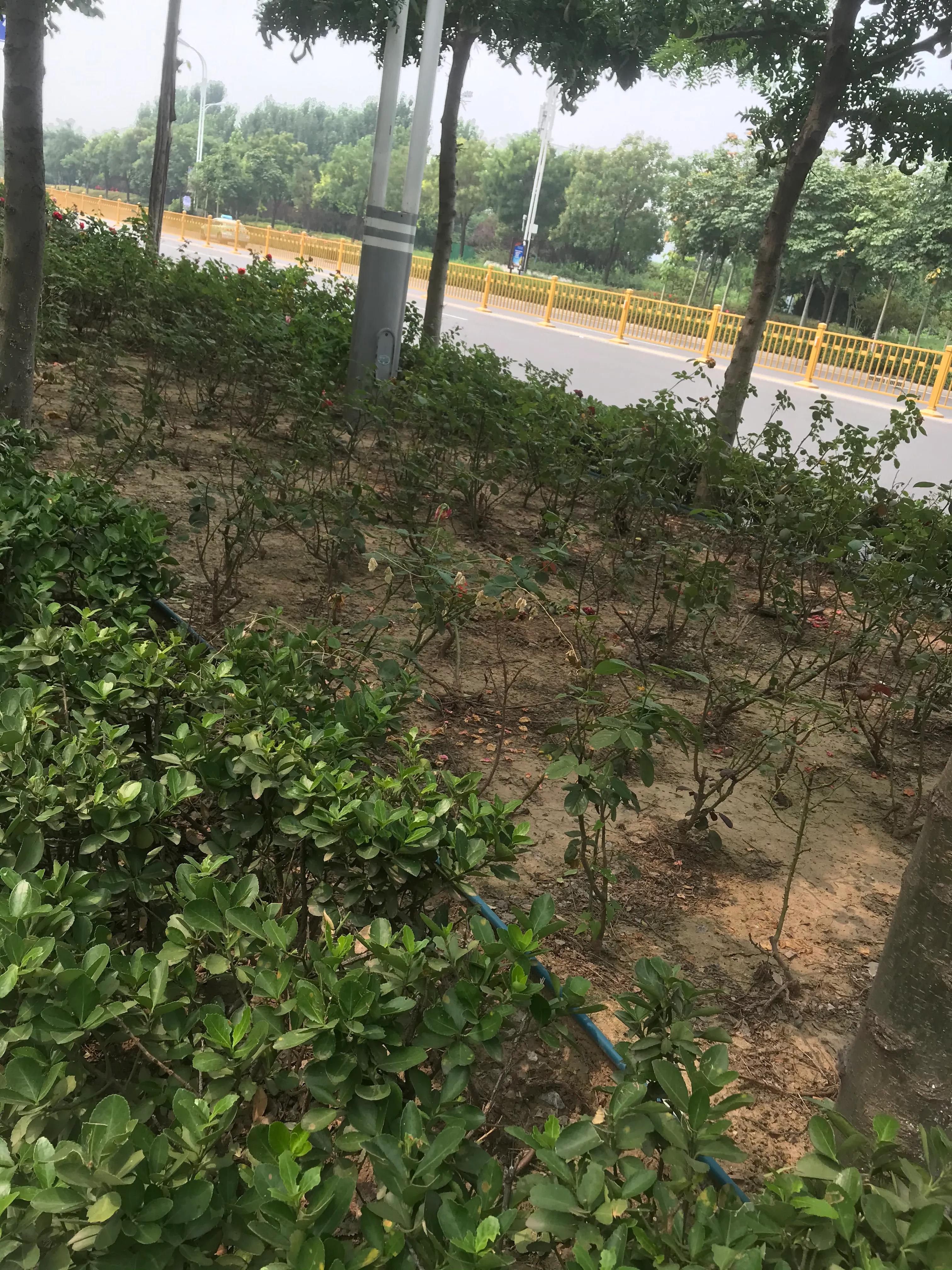 外地人对邯郸的看法,邯郸生活真实感受