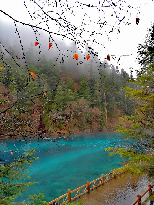 九寨沟一日游感悟,九寨沟和黄龙旅行美景