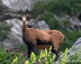 买几千块的包到底值得吗,大家觉得有必要买真包吗