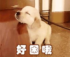 肾虚吃腰子能补肾吗,腰子和枸杞能补肾吗