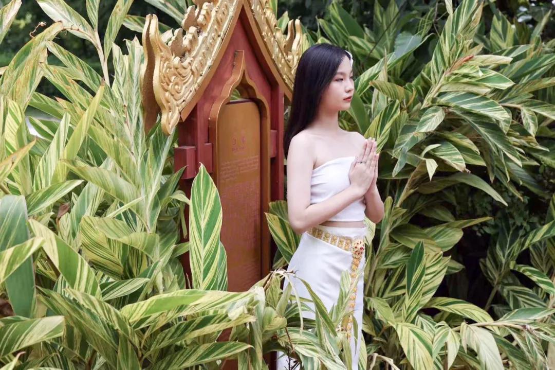 打卡中老铁路,曼听公园网红打卡景点