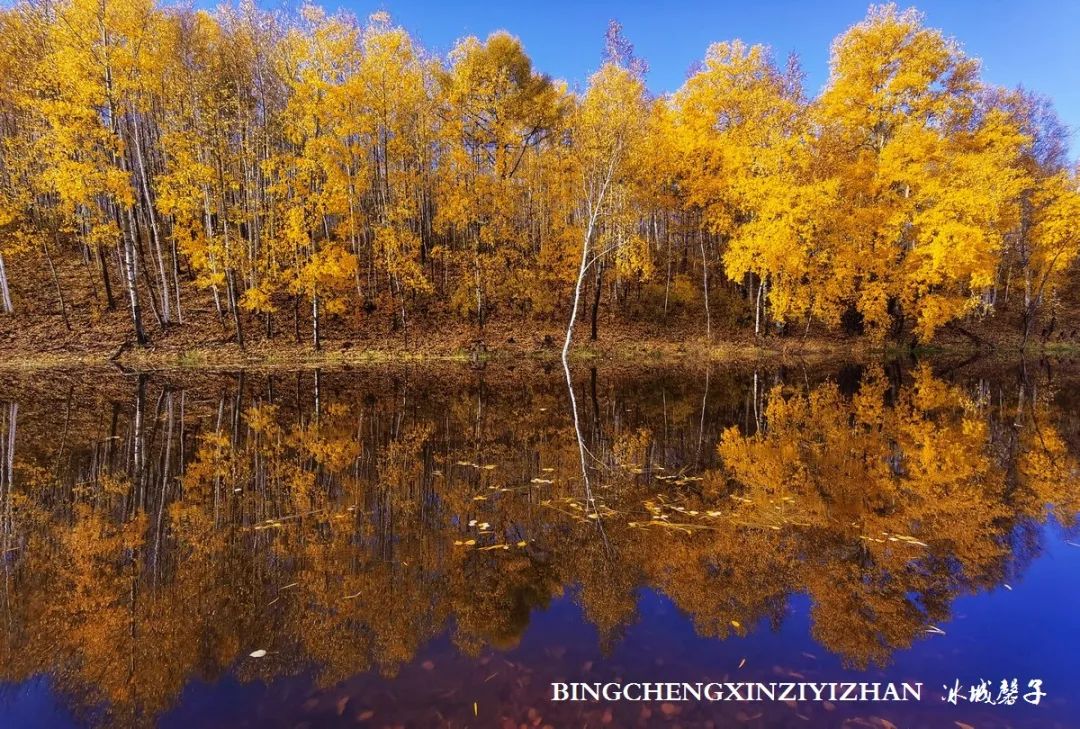 深秋的大兴安岭色彩斑斓,大兴安岭的秋天美景