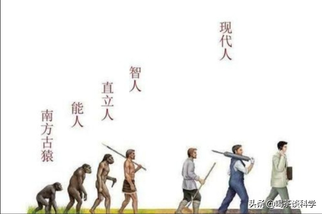 蝙蝠疫情的认识,蝙蝠疫情的危害