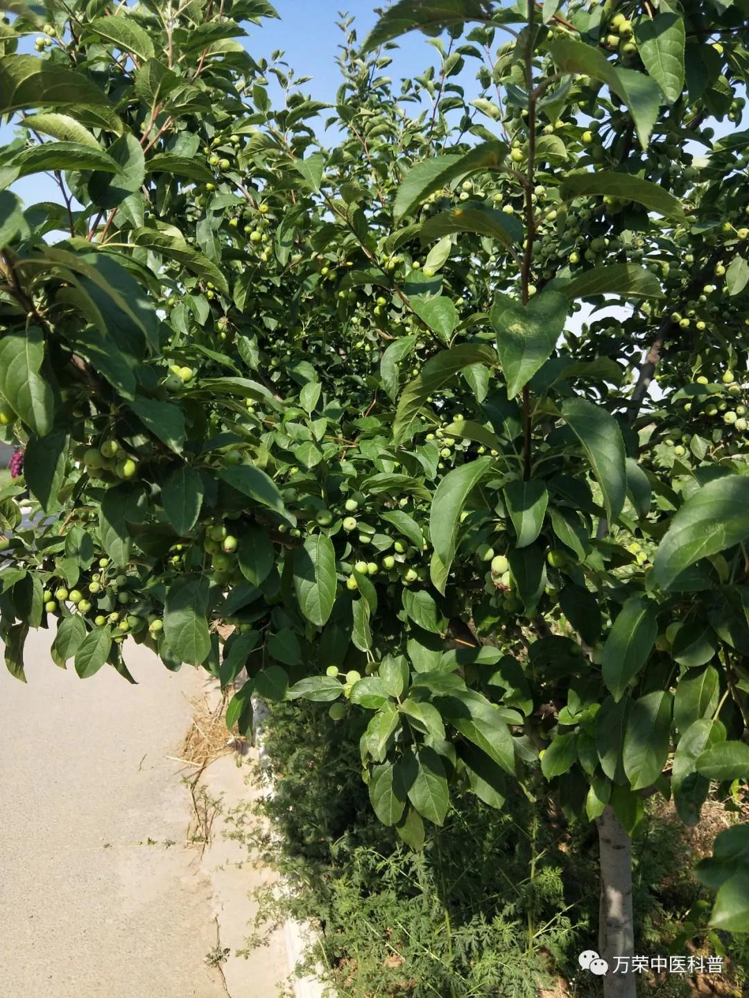 跟我回家在线免费看,跟我回家免费看