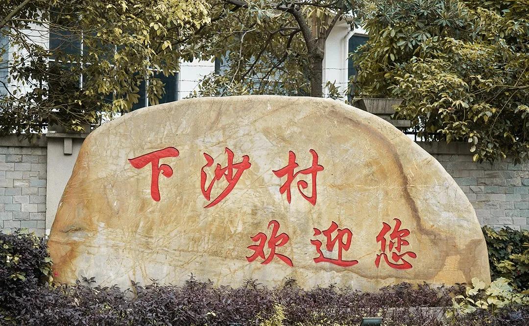 理论中心组进行集体学习,理论学习中心组集体学习计划
