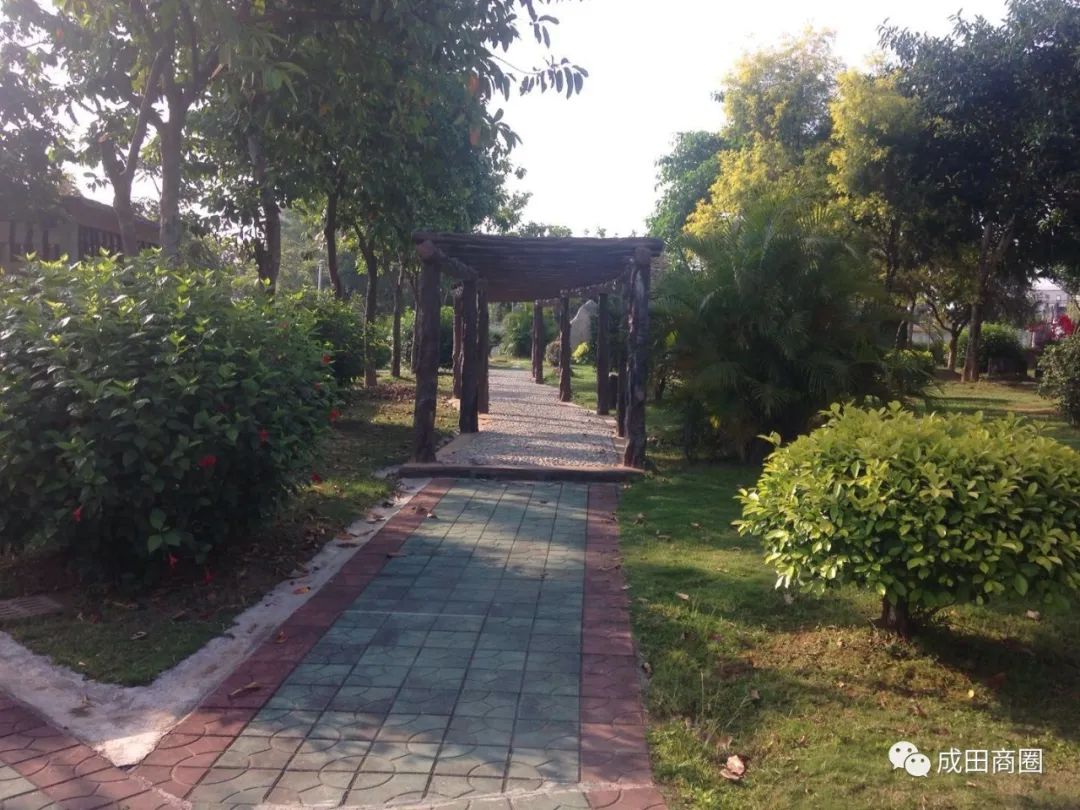 成田文体公园国庆,成田镇文体公园