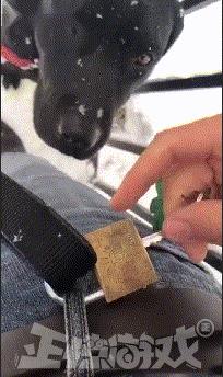 爆笑GIF趣图：美女，这射的是丘比特之箭吧