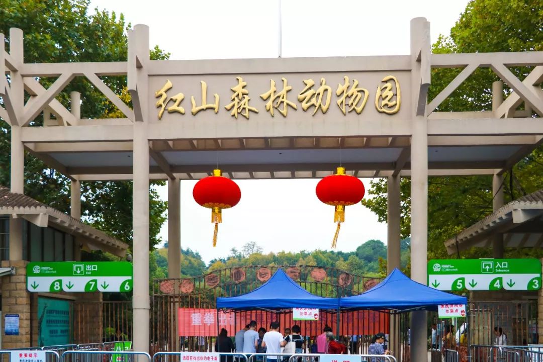 南京周末遛娃好去处,悠闲带娃好去处