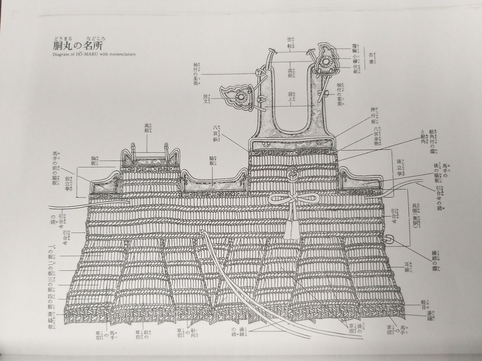 《海贼王》的菊与刀「五」:日本铠传