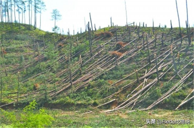 贵州空中怪车现在怎么样了,贵州ufo空中怪车事件真相