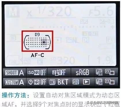 尼康对焦区域和对焦模式如何选择,佳能相机全画幅新手教程