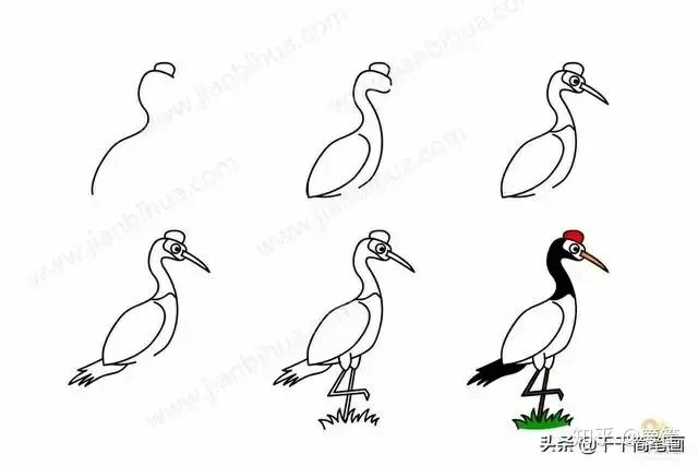 画小动物简笔画简单又漂亮,春天里的小动物怎么画简笔画