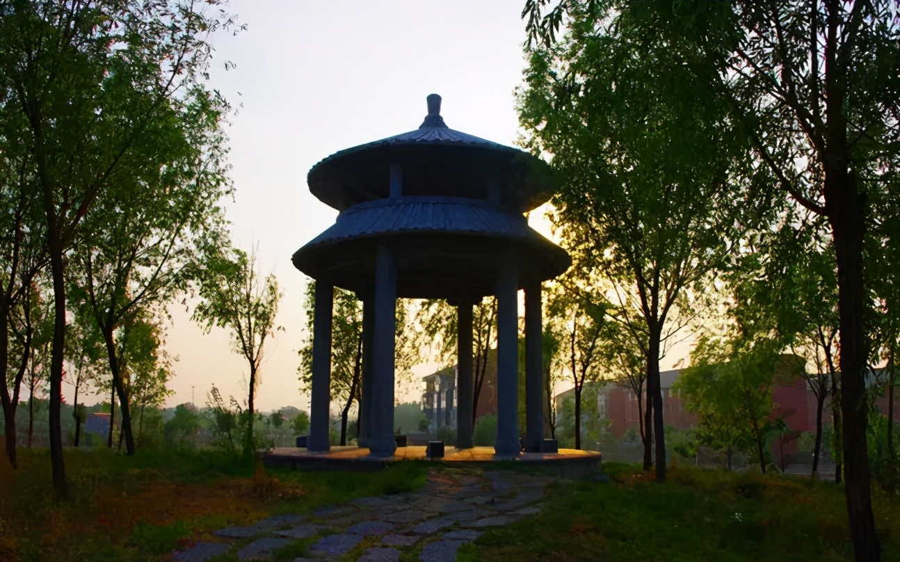 山东科技大学成人高等学历教育,山东科技职业学院招生简章2022