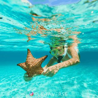 一键完成的p图软件,能赞爆朋友圈的p图软件