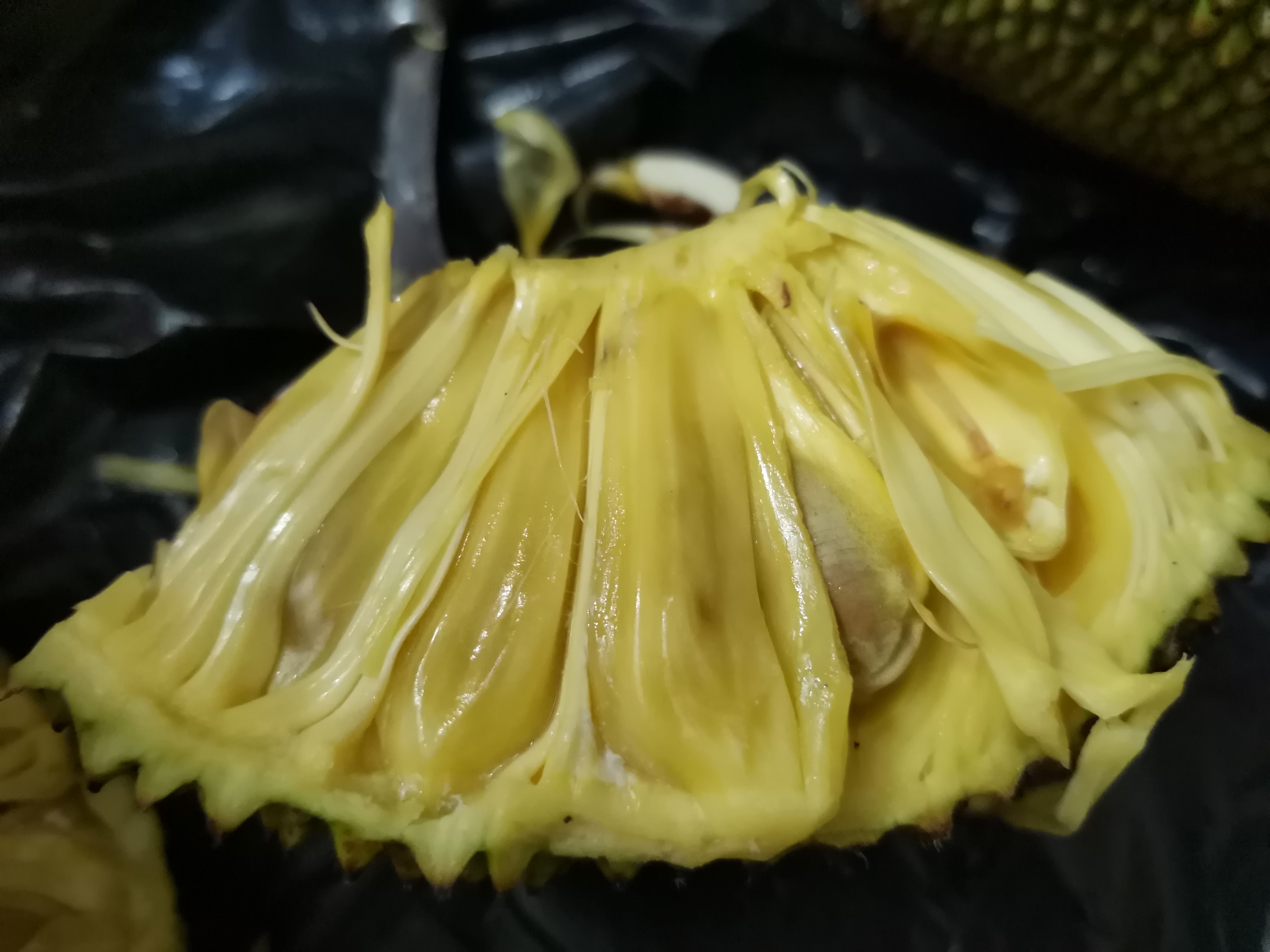 如何选择好吃新鲜的菠萝蜜,如何挑选好吃的菠萝蜜视频