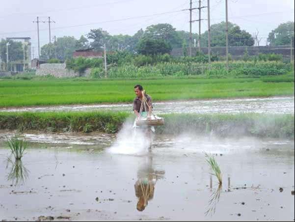 养殖小龙虾应注意以下几点,小龙虾高效养殖与疾病防治